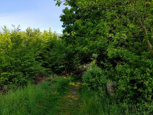 k1600_2016-05-26-10-34-00