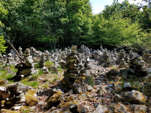 k1600_2016-05-26-10-45-20