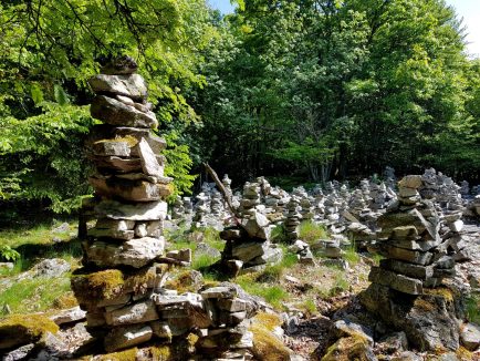 k1600_2016-05-26-10-45-22