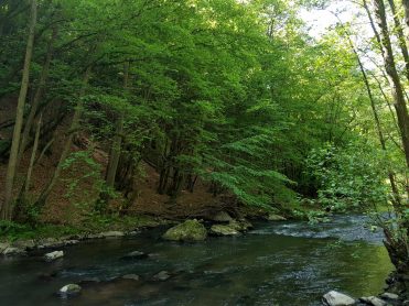 k1600_2016-05-26-11-29-08