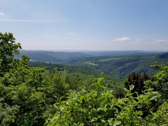 k1600_2016-05-26-11-56-09