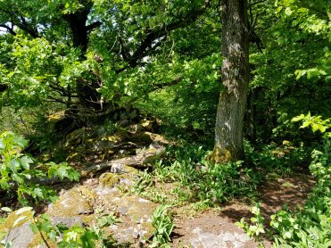 k1600_2016-05-26-11-56-11