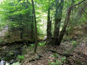 k1600_2016-05-26-12-31-35