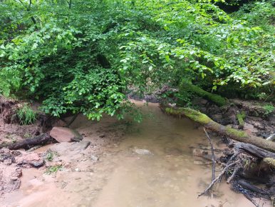 k1600_2016-06-05-17-11-53