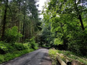 k1600_2016-06-12-15-52-30-1