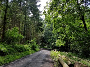 k1600_2016-06-12-15-52-30-1