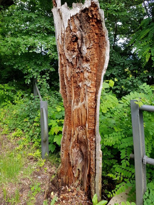 k1600_2016-06-12-16-28-49