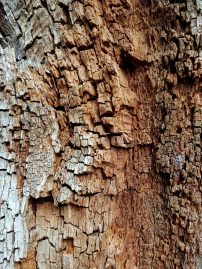 k1600_2016-06-12-16-28-53