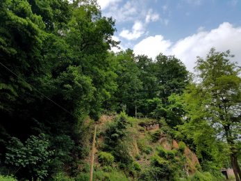 k1600_2016-06-12-16-45-10