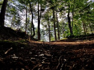 k1600_2016-06-19-17-53-19