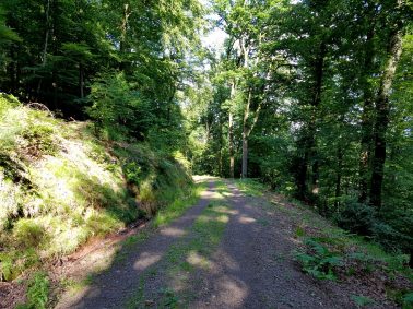 k1600_2016-06-19-18-10-48