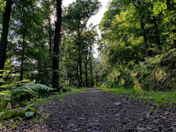 k1600_2016-06-19-18-10-55