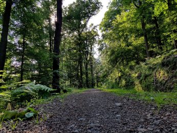 k1600_2016-06-19-18-10-55