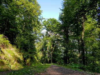 k1600_2016-06-19-18-11-05