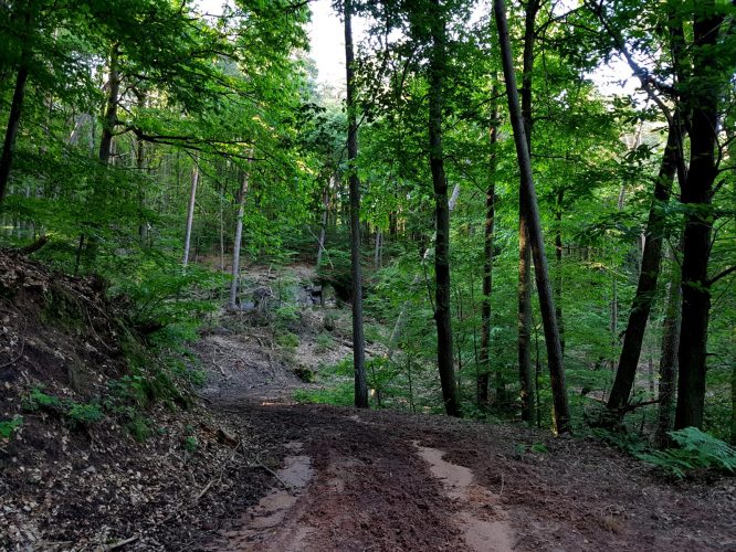 k1600_2016-06-19-18-45-13