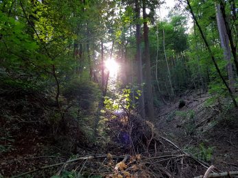 k1600_2016-06-19-18-47-38