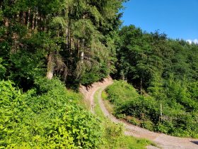 k1600_2016-06-19-19-03-04