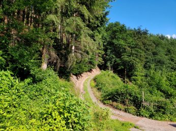 k1600_2016-06-19-19-03-04