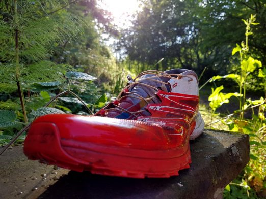 k1600_2016-06-19-19-07-43