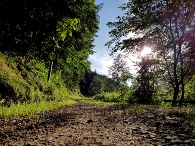 k1600_2016-06-19-19-09-59