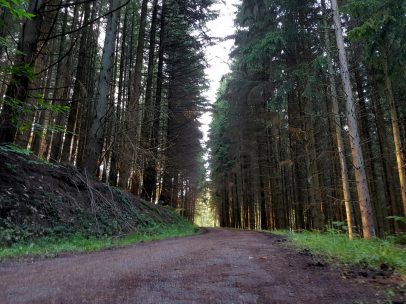 k1600_2016-06-19-19-17-54