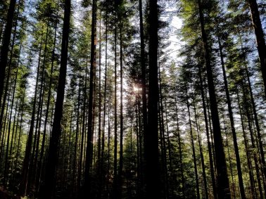 k1600_2016-06-19-19-26-48