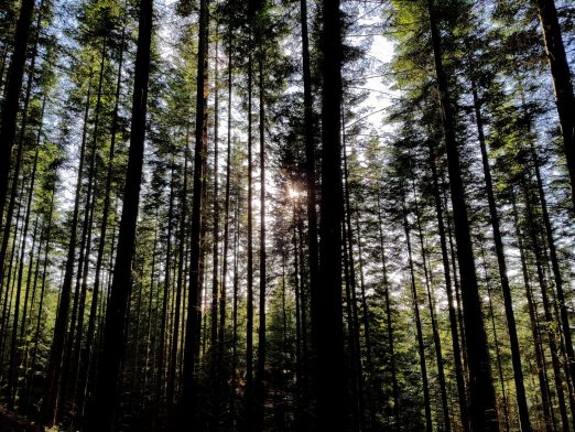 k1600_2016-06-19-19-26-48