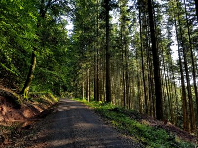 k1600_2016-06-19-19-26-51