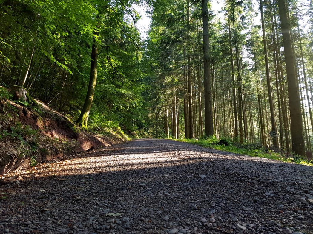 k1600_2016-06-19-19-26-54