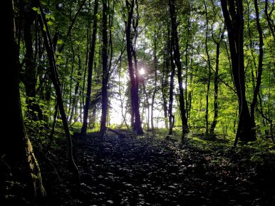 k1600_2016-06-19-19-33-41