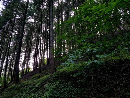 k1600_2016-06-19-20-02-02