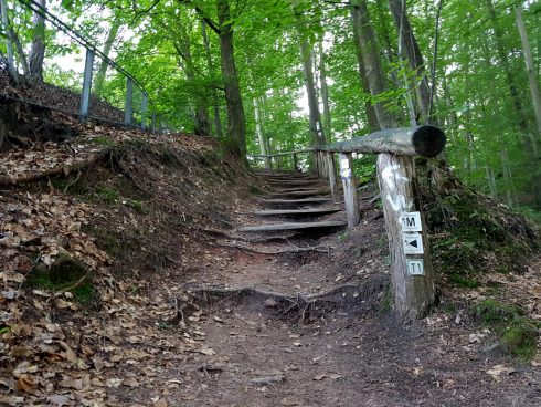 k1600_2016-06-19-20-25-22