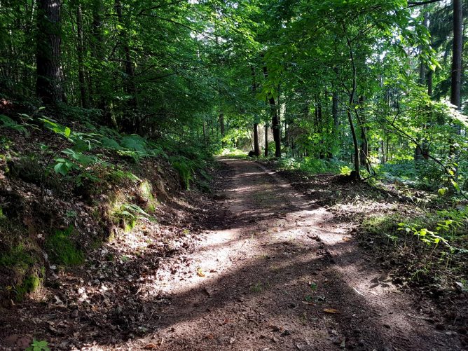 k1600_2016-07-08-18-39-07