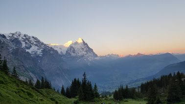 k1600_2016-07-16-05-55-56