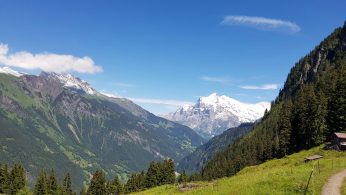 k1600_2016-07-16-15-10-52