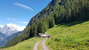 k1600_2016-07-16-15-10-53