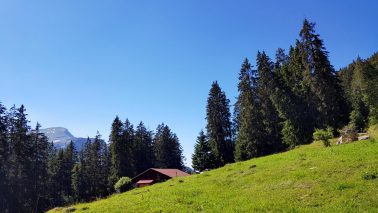 k1600_2016-07-16-16-02-05