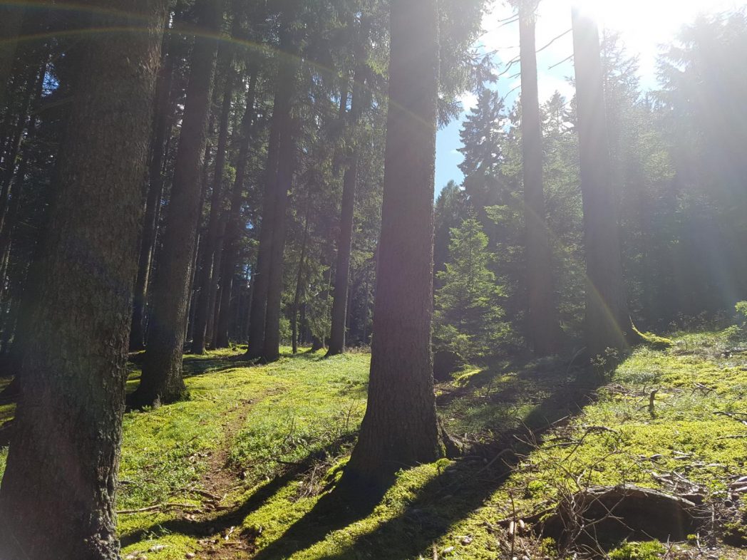 k1600_2016-08-01-16-03-07