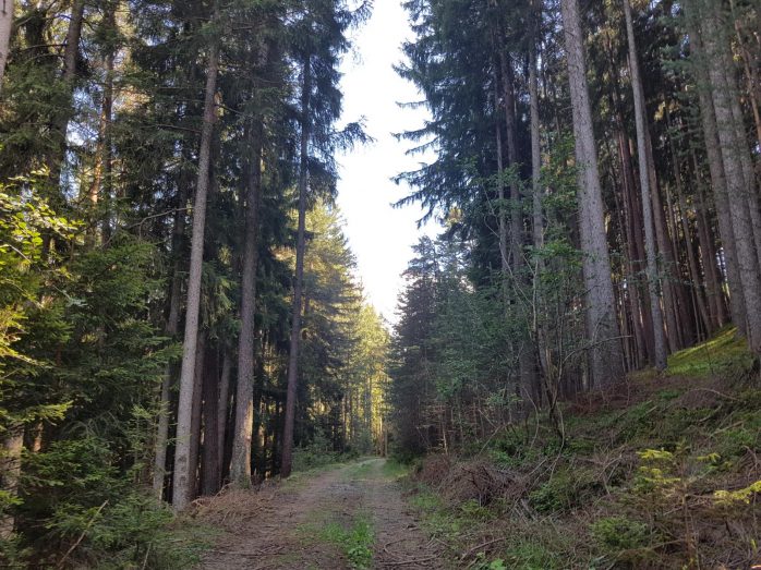 k1600_2016-08-01-16-31-24