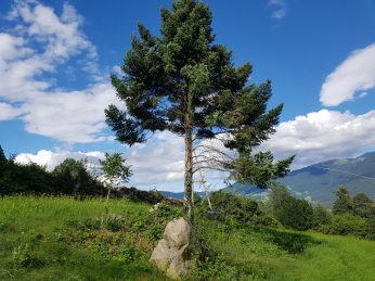 k1600_2016-08-01-17-04-50