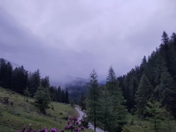 k1600_2016-08-06-06-02-20