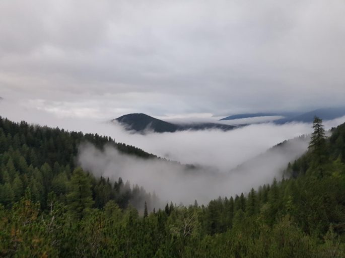 k1600_2016-08-06-06-21-20