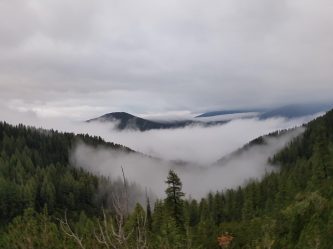 k1600_2016-08-06-06-21-49