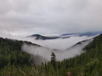 k1600_2016-08-06-06-21-49