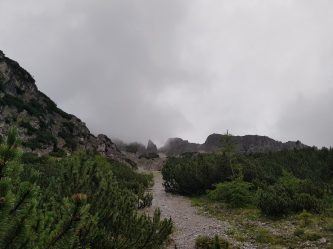 k1600_2016-08-06-06-21-57