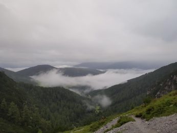 k1600_2016-08-06-06-32-37