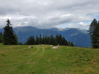 k1600_2016-08-06-16-40-08