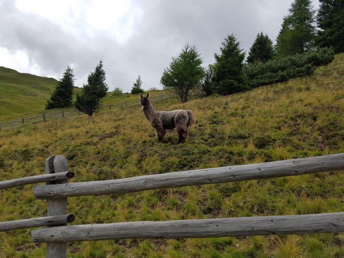 k1600_2016-08-06-16-43-37