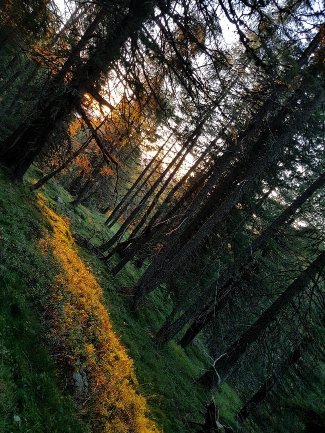 k1600_2016-08-07-06-13-10