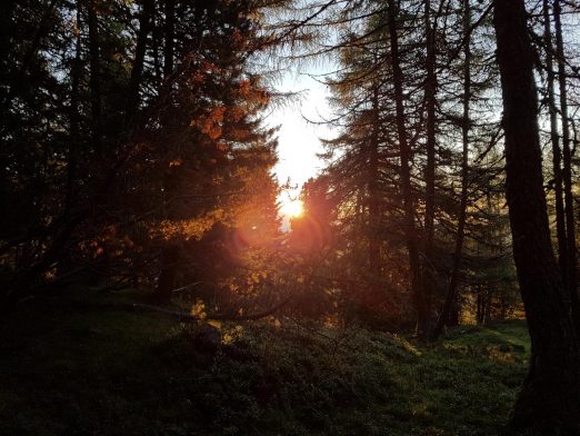 k1600_2016-08-07-06-13-43